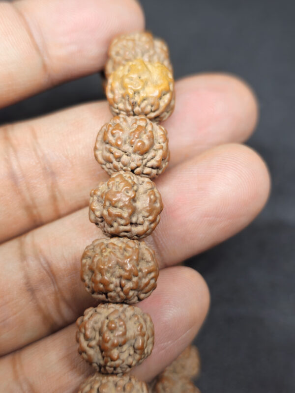 0-Mukhi Bracelet