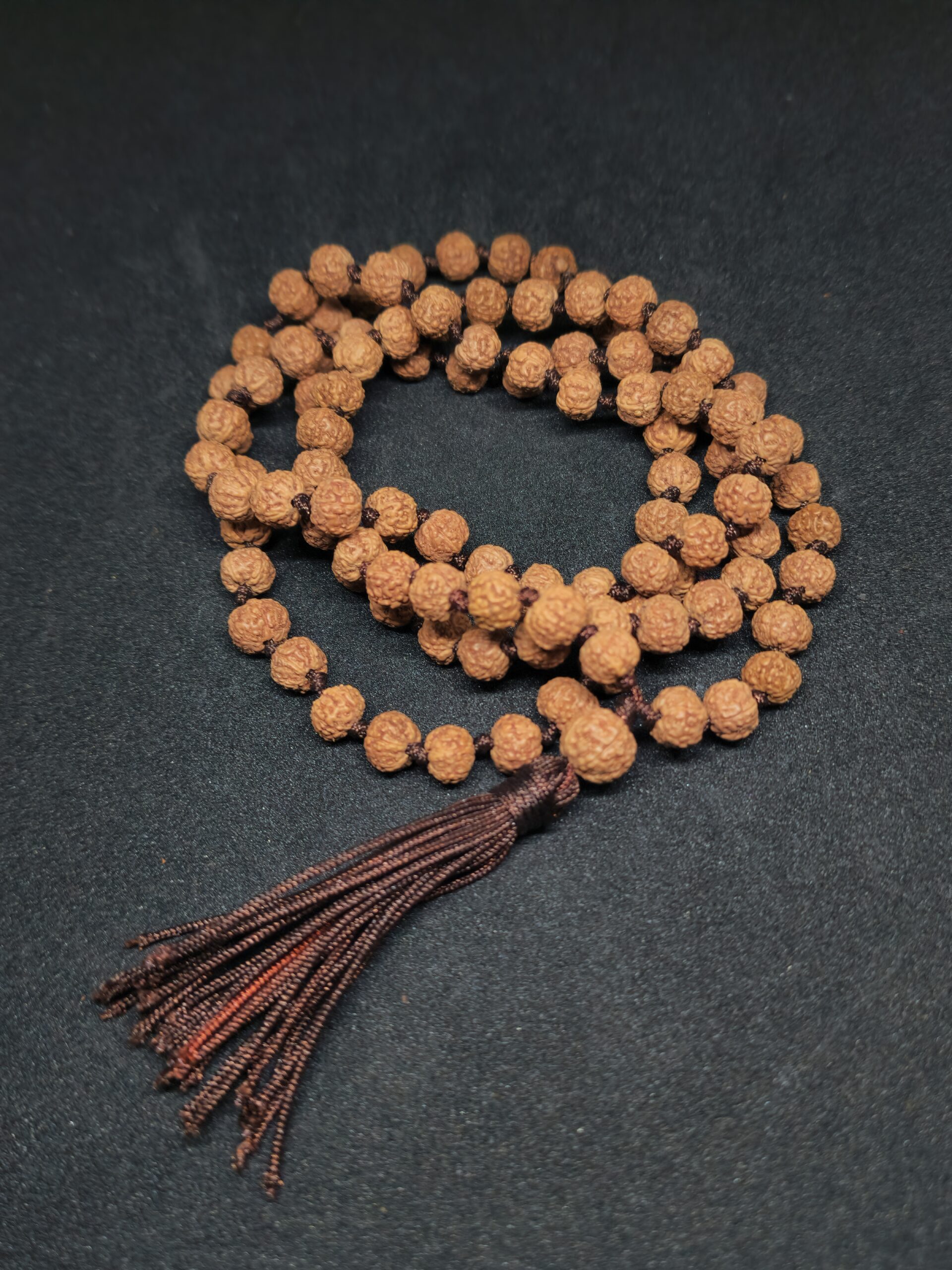 Harnessing the Divine Energy of Indo Rudraksha: The Sacred 1-21 Mukhi Beads